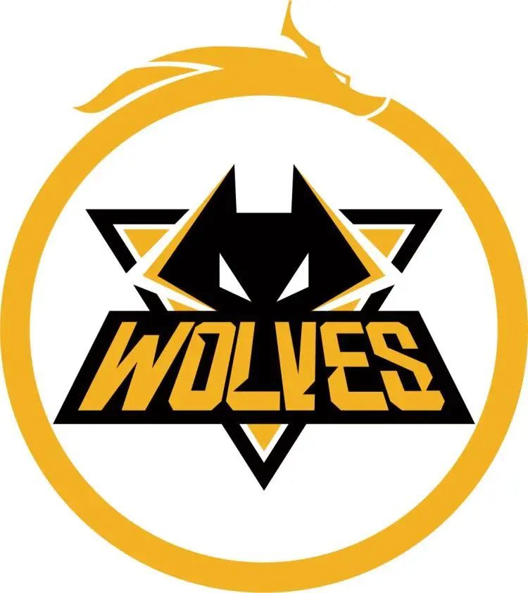 Spirit 以轻松战胜 Wildcard 晋级 BLAST Rivals 2025 春季赛半决赛